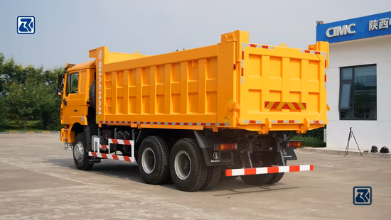 Shaanxi Shacman F3000 6X4 30 tonnes de camion à benne basculante pour l'Afrique